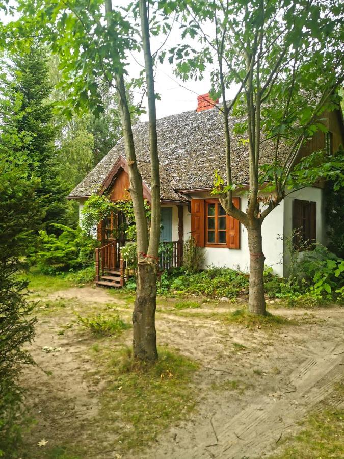 Az Pod Las Zbiczno Bagian luar foto